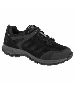 Timberland Sadler Pass GTX M A1PG2 Shoes