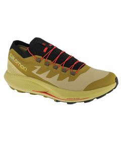 Shoes Salomon Pulsar Trail-Pro M 415936, Пол: Men, Размер: 49 1/3