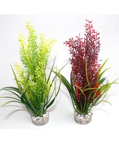 Растение Tropica 20см от Sydeco, Франция