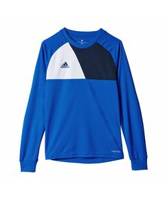 Adidas Assita 17 Jr AZ5404 sweatshirt