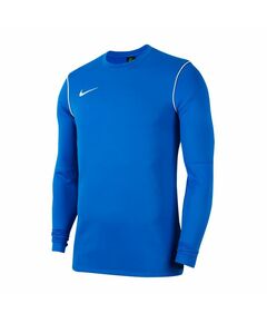 Nike Park 20 Crew Jr BV6901-463 sweatshirt