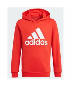 Adidas Essentials Big Logo Hoodie Jr GN4037