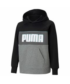 Puma Alpha Hoodie Jr 585892 01