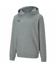 Puma teamGOAL 23 Casuals Hoody Jr 656711 33