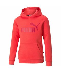 Puma ESS Logo Hoodie FL Jr 587031 35