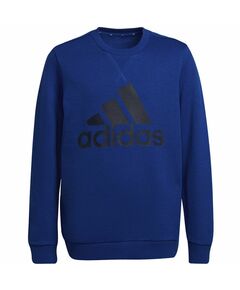 Sweatshirt adidas B BL Swt Jr HE9285