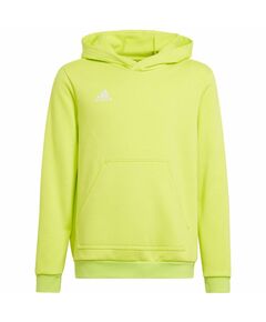 Sweatshirt adidas Entrada 22 Hoody Jr HC5069