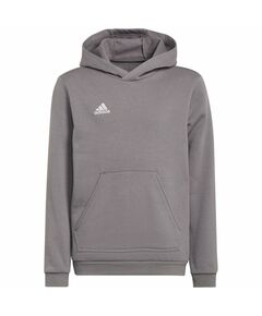 Sweatshirt adidas Entrada 22 Hoody Jr H57515