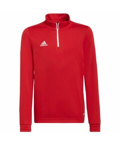 Sweatshirt adidas Entrada 22 Tr Top Jr H57550