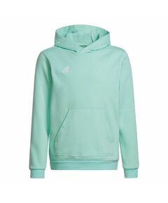 Adidas Entrada 22 Hoody JR HC5066 sweatshirt