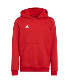 Sweatshirt adidas Entrada 22 Hoody Jr H57566