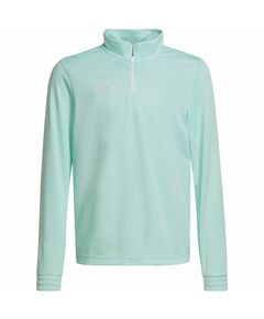 Sweatshirt adidas Entrada 22 Training Top Jr HC5056