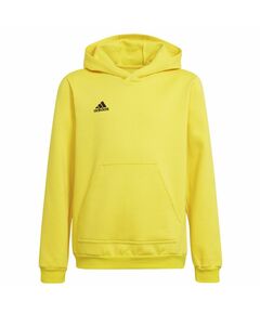 Sweatshirt adidas Entrada 22 Hoody Y Jr HI2142