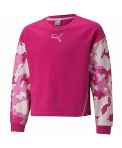 Sweatshirt Puma Alpha Crew TR Jr 846941 14