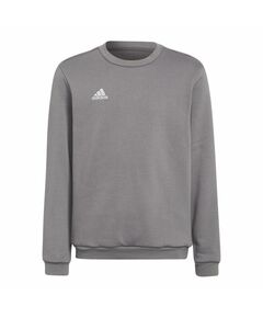 Adidas Entrada 22 Sweat Top Jr H57477 sweatshirt