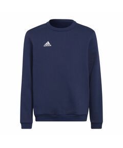 Sweatshirt adidas Entrada 22 Hoody Jr H57568