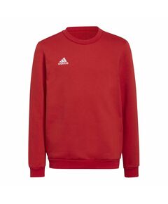 Sweatshirt adidas Entrada 22 Sweat Jr H57473