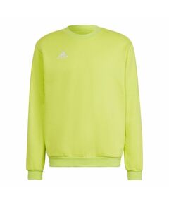 Adidas Entrada 22 Sweat Top M HC5049 sweatshirt