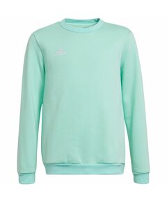 Adidas Entrada 22 Sweat Top Jr HC5042 sweatshirt