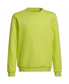 Sweatshirt adidas Entrada 22 Sweat Top Jr HC5043