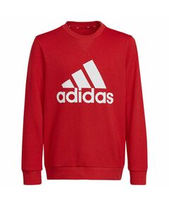 Sweatshirt adidas Big Logo Swt Jr HN1911