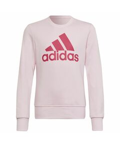 Sweatshirt adidas Big Logo SWT Jr HM8709