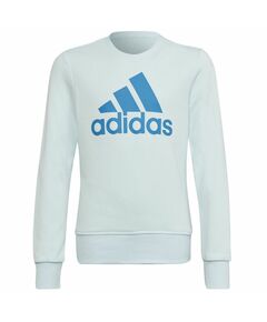 Sweatshirt adidas Big Logo Swt Jr HM8707