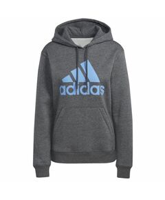 Sweatshirt adidas Big Logo FL R HD W IC9845