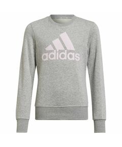 Sweatshirt adidas Big Logo Swt Jr HM8706