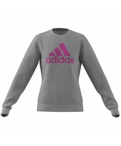 Sweatshirt adidas Big Logo Swt Jr IC6118