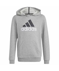 Sweatshirt adidas Big Logo 2 Hoody Jr. HB4362