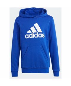 Sweatshirt adidas Big Logo Essentials Hoodie Jr. IC6834