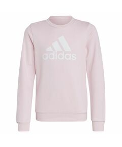 Sweatshirt adidas Big Logo Swt Jr IC6119