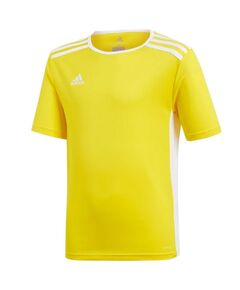 T-Shirt adidas Entrada 18 Jsyy Jr CF1039, Пол: Kids, Размер: 176 cm