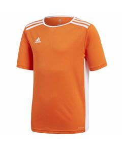 T-shirt adidas Entrada 18 JSY Y Jr CF1043, Пол: Kids, Размер: 116 cm