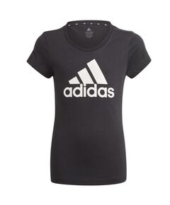 Adidas Essentials Big Logo Tee Jr GN4069, Пол: Kids, Размер: 140 cm