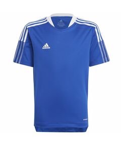 T-shirt adidas Tiro 21 Tr Jsy Y Jr GM7577, Пол: Kids, Размер: 128 cm