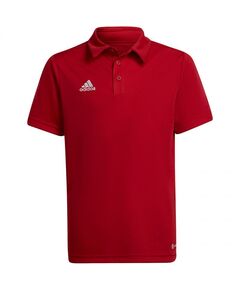 T-shirt adidas Entrada 22 Polo Jr H57495, Пол: Kids, Размер: 164 cm