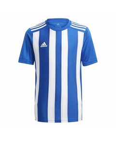 Tee adidas Striped 21 Jr GH7323, Пол: Kids, Размер: 176