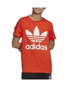 adidas Originals Trefoil Jr T-shirt DV2907