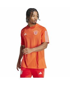 Adidas FC Bayern CO Tee M IQ0601, Пол: Men, Размер: s