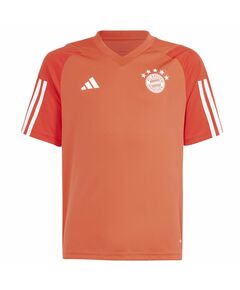 Adidas FC Bayern Training JSY Jr T-shirt IQ0613, Пол: Kids, Размер: 128 cm