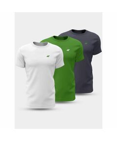 T-shirt 4F M 4FWSS24TTSHM1895-90S 3 pack, Пол: Men, Размер: 2XL