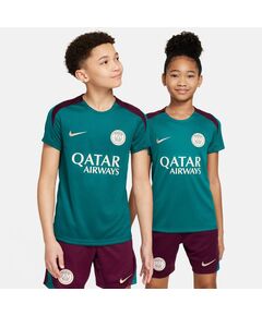 Nike PSG Strike SS Top Jr T-shirt FN9862-382, Пол: Kids, Размер: M (137-147)