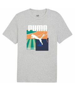 Puma Graphics Summer Sports Tee II M 627909 04, Пол: Men, Размер: s