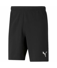 Puma teamRISE Short M 704942 04