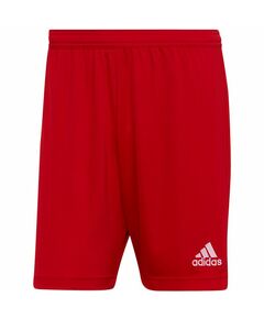 Adidas Entrada 22 M H61735 shorts