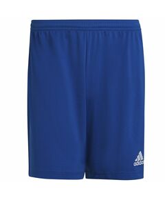 Adidas Entrada 22 M HG6294 shorts