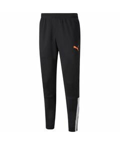 Puma teamLIGA Training Pants M 657242 45