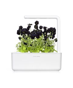 Смарт Саксия Click and Grow Smart Garden 3, Бяла